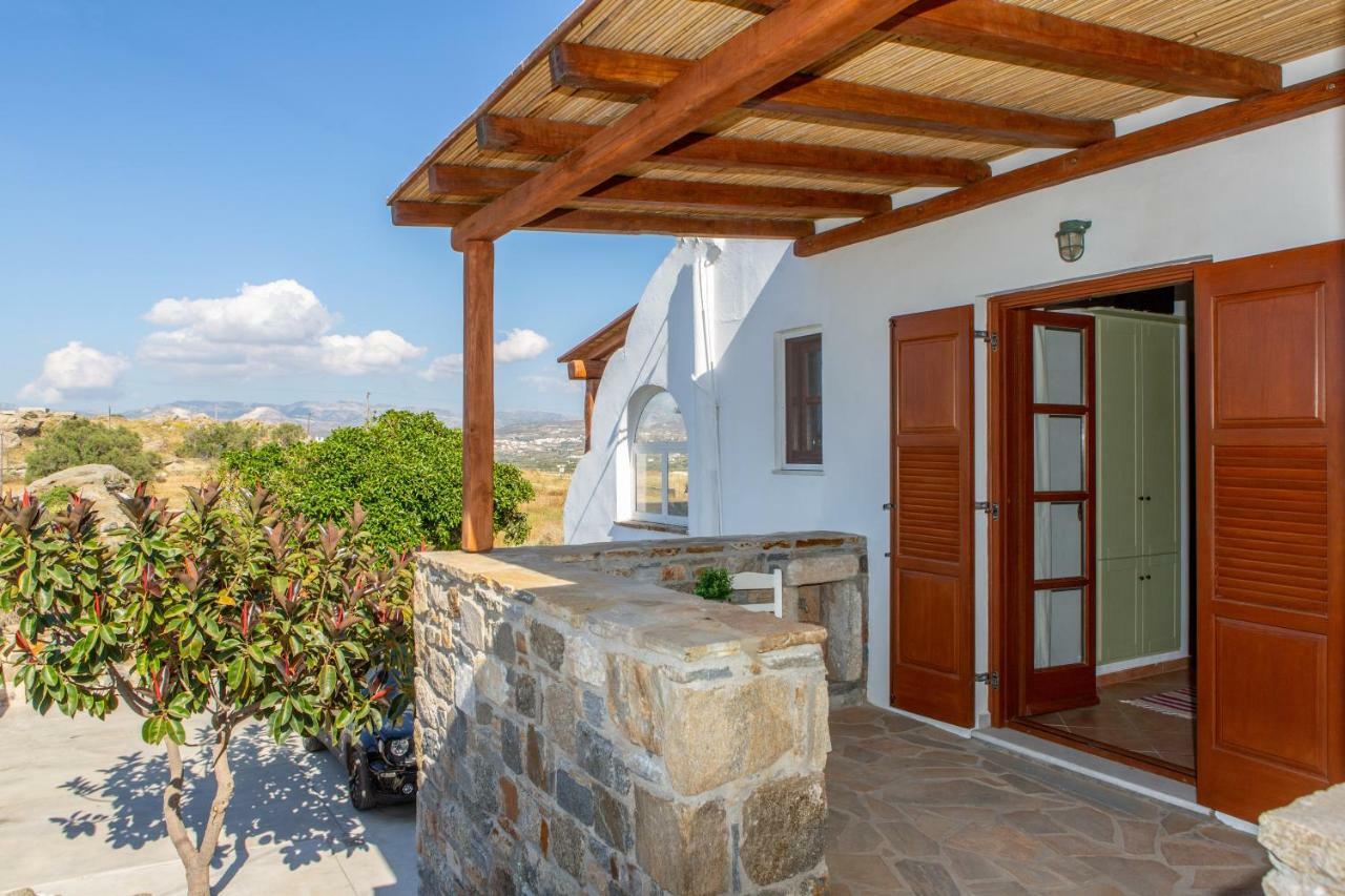 Thea Suites Naxos Agios Prokopios  Zewnętrze zdjęcie